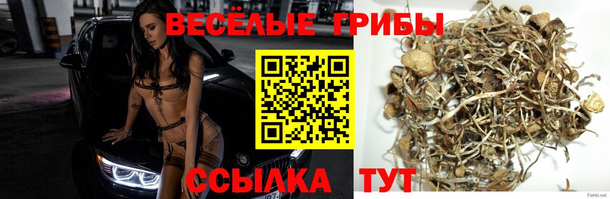 Галлюциногенные грибы мухоморы Вязьма